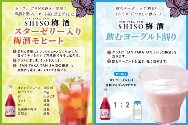 北海道白糠町のふるさと納税 鍛高譚(たんたかたん)の梅酒[720ml]【8本セット】