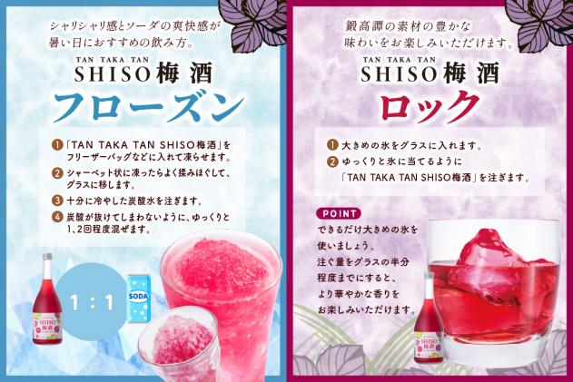 北海道白糠町のふるさと納税 鍛高譚(たんたかたん)の梅酒[720ml]【12本セット】
