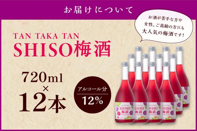 北海道白糠町のふるさと納税 鍛高譚(たんたかたん)の梅酒[720ml]【12本セット】