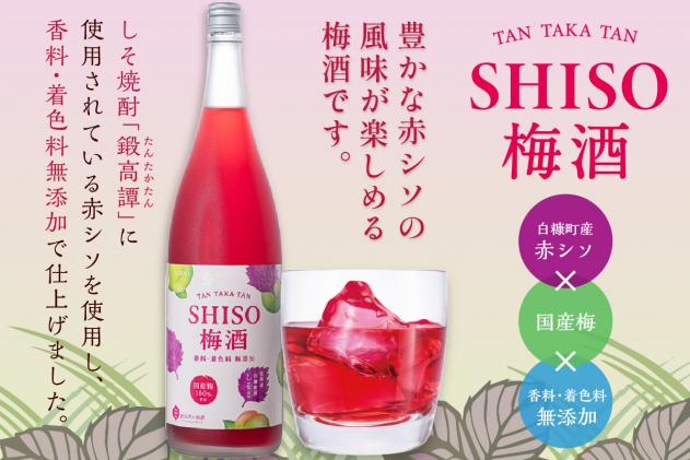 北海道白糠町のふるさと納税 鍛高譚(たんたかたん)の梅酒[1800ml]【6本セット】
