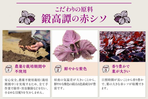 北海道白糠町のふるさと納税 鍛高譚(たんたかたん)の梅酒[1800ml]【6本セット】