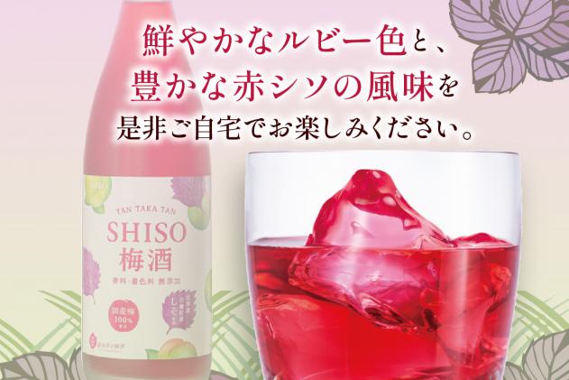 北海道白糠町のふるさと納税 鍛高譚(たんたかたん)の梅酒[1800ml]【6本セット】