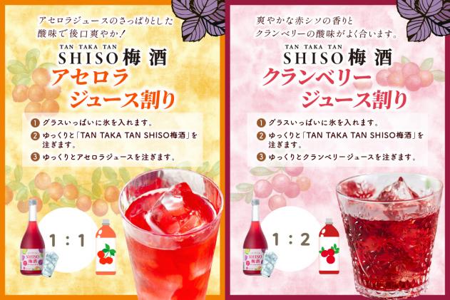 北海道白糠町のふるさと納税 鍛高譚(たんたかたん)の梅酒[1800ml]【6本セット】