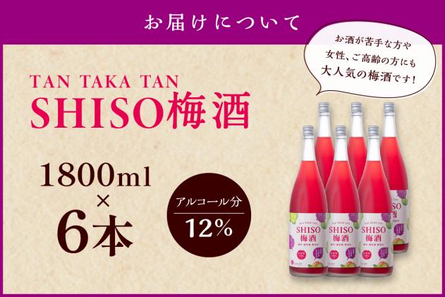 北海道白糠町のふるさと納税 鍛高譚(たんたかたん)の梅酒[1800ml]【6本セット】