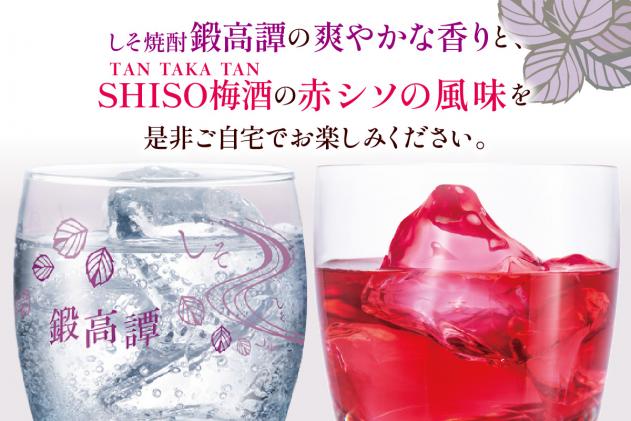 北海道白糠町のふるさと納税 鍛高譚(たんたかたん)・鍛高譚の梅酒[1800ml]【2本セット】