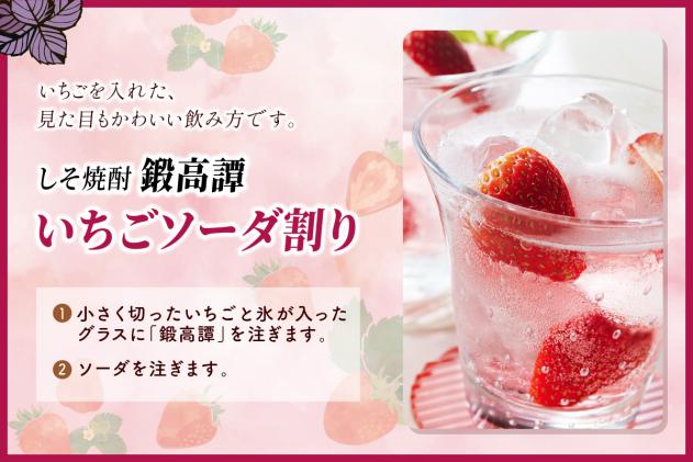 北海道白糠町のふるさと納税 鍛高譚(たんたかたん)[1800ml]【6本セット】しそ焼酎 紫蘇焼酎 シソ焼酎 焼酎 お酒 アルコール お湯割り 水割り ロック ストレート 本格焼酎 定番焼酎 晩酌