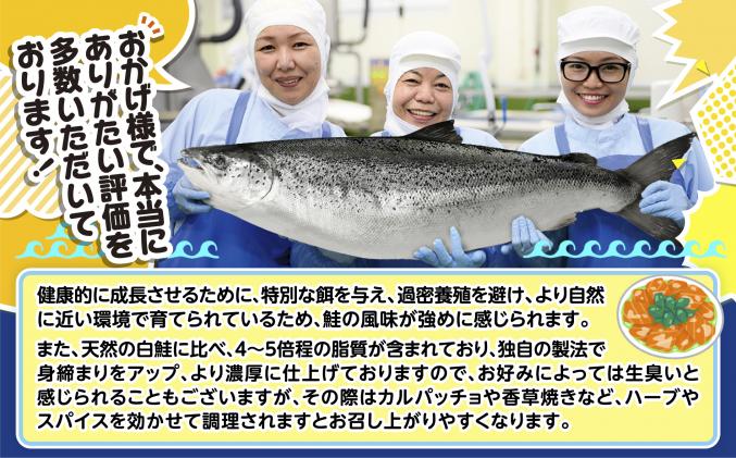 北海道白糠町のふるさと納税 【4/17 9:59で終売】※2023年10月末までにお届け※エンペラーサーモン≪天日塩締め≫【1kg】