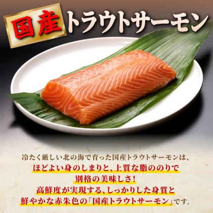 北海道白糠町のふるさと納税 国産ワンフローズントラウトサーモン【800g】