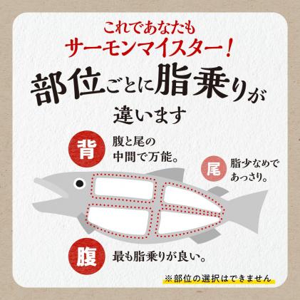 北海道白糠町のふるさと納税 国産ワンフローズントラウトサーモン【800g】