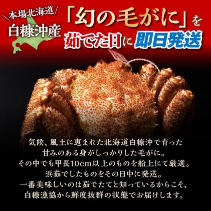 北海道白糠町のふるさと納税 しらぬか産 茹でたて大サイズ毛がに【650g以上】