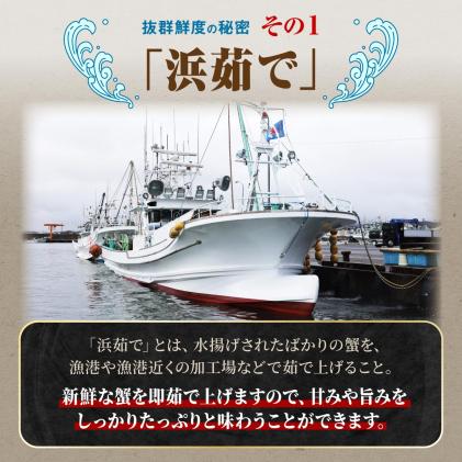 北海道白糠町のふるさと納税 しらぬか産 茹でたて大サイズ毛がに【650g以上】