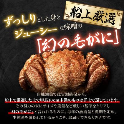 北海道白糠町のふるさと納税 しらぬか産 茹でたて大サイズ毛がに【650g以上】