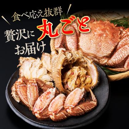 北海道白糠町のふるさと納税 しらぬか産 茹でたて大サイズ毛がに【650g以上】