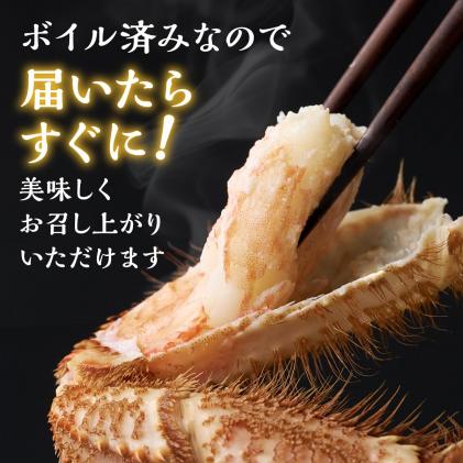 北海道白糠町のふるさと納税 しらぬか産 茹でたて大サイズ毛がに【650g以上】