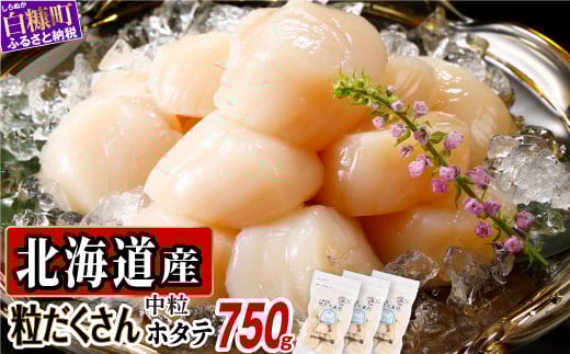 北海道白糠町のふるさと納税 オホーツク産お刺身用ホタテ【750g(250g×3)】