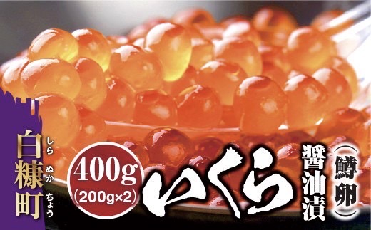 北海道白糠町のふるさと納税 いくら醤油漬(鱒卵)【400g(200g×2)】