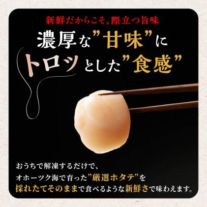 北海道白糠町のふるさと納税 【数量限定】【訳あり】オホーツク産お刺身用ホタテ【1kg】※袋はファスナー付きだからとっても便利※