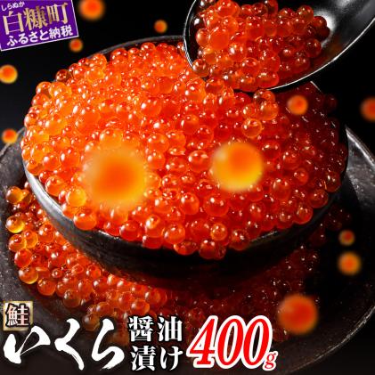 北海道白糠町のふるさと納税 ＼大人気品/ エンペラーサーモン 900g × いくら 400g ( 200g ×2 ) の 親子丼セット サーモン 小分け 刺身 食べ方いろいろ 醤油漬け 鮭卵 鮭いくら 海鮮 送料無料 人気 ランキング 北海道 白糠町 ※2025年12月お届け※