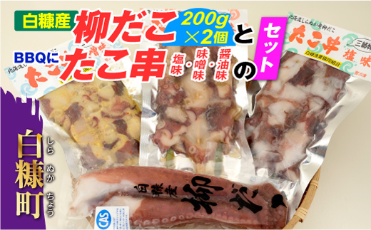 北海道白糠町のふるさと納税 「しらぬか産柳だこ」とBBQに「たこ串(塩味・味噌味・醤油味)」のセット