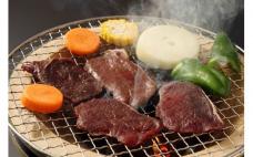 特製たれ漬えぞ鹿焼肉ミックス【300g×2袋】