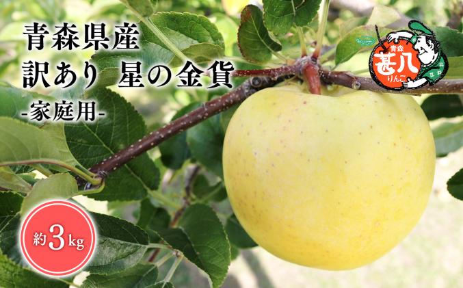 11月発送 訳あり 家庭用 甚八りんご星の金貨3kg [マルジンサンアップル 11月 青森県産 平川市 りんご 星の金貨 3kg 訳あり 家庭用]