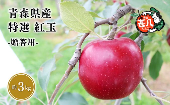 10月発送 特選 甚八りんご紅玉3kg [マルジンサンアップル 10月 青森県産 平川市 りんご 紅玉 3kg 特選 贈答用]
