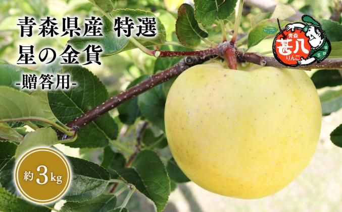 11月発送 特選 甚八りんご星の金貨3kg [マルジンサンアップル 11月 青森県産 平川市 りんご 星の金貨 3kg 特選 贈答用]