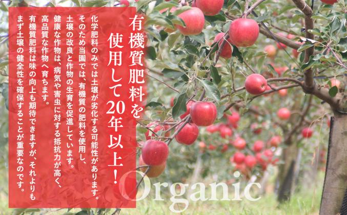 青森県平川市のふるさと納税 2025年産11月～4月発送　贈答用葉とらずサンふじ3kg　【そと川りんご園・11月・12月・1月・2月・3月・4月・青森県産・平川市・りんご・葉とらずサンふじ・3kg・贈答用】