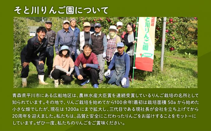 青森県平川市のふるさと納税 2025年産11月～4月発送　【訳あり】家庭用葉とらずサンふじ5kg　【そと川りんご園・11月・12月・1月・2月・3月・4月・青森県産・平川市・りんご・葉とらずサンふじ・5kg・訳あり・家庭用】
