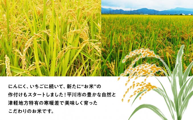令和7年産 平川市産まっしぐら真空パック 10kg【しあわせj-Farm】【hi