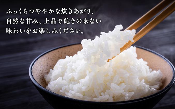 令和7年産 平川市産まっしぐら真空パック 10kg【しあわせj-Farm】【hi