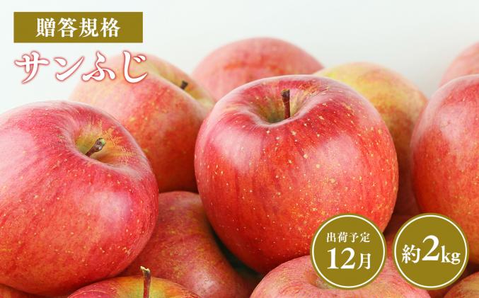 [令和7年産先行受付]令和7年12月発送 贈答規格サンふじ約2kg[青森県平川市産・青森りんご]
