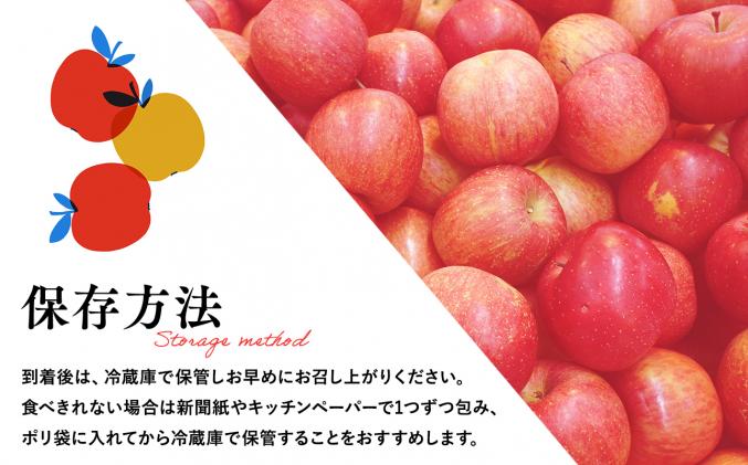 青森県平川市のふるさと納税 【4月発送】家庭用サンふじ3㎏【丸勝木村商店・青森りんご】