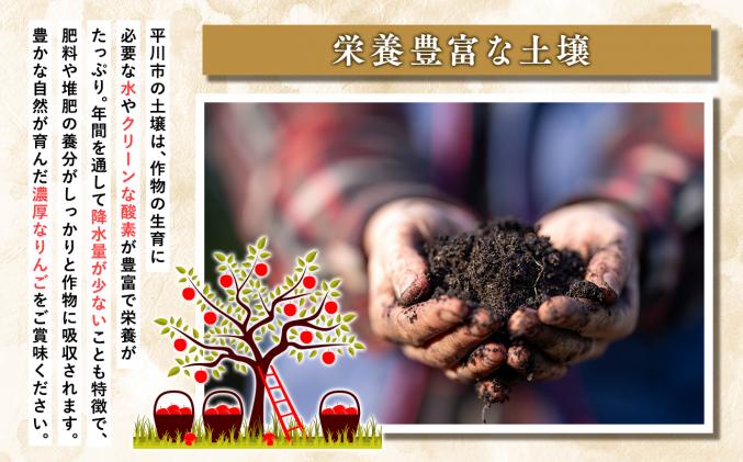 青森県平川市のふるさと納税 【4月発送】家庭用サンふじ3㎏【丸勝木村商店・青森りんご】