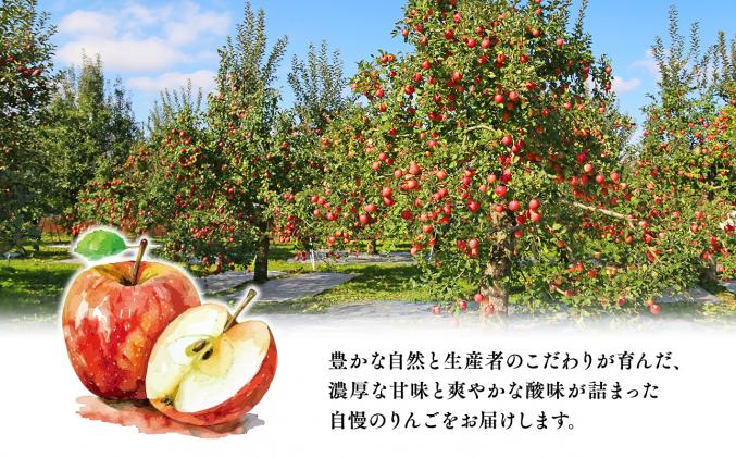 青森県平川市のふるさと納税 【4月発送】家庭用サンふじ3㎏【丸勝木村商店・青森りんご】
