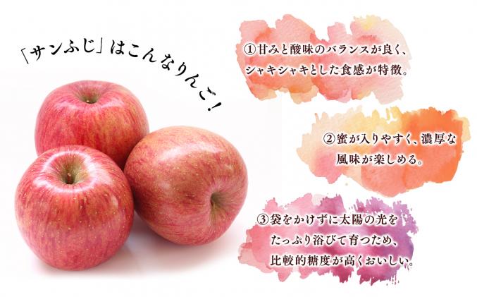 青森県平川市のふるさと納税 【4月発送】家庭用サンふじ3㎏【丸勝木村商店・青森りんご】