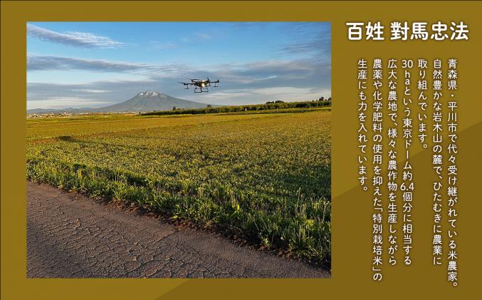 青森県平川市のふるさと納税 【令和7年産 先行予約   配送時期:2025年11月中旬～】【3カ月定期便】青森県平川市産まっしぐら20kg(精米)