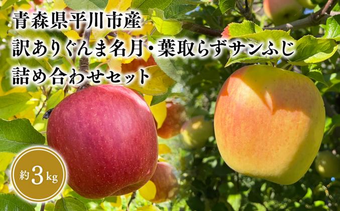 2026年12月上旬〜発送 訳あり ぐんま名月・葉とらずサンふじ詰め合わせセット約3kg(家庭用)[なるみ農園・青森りんご・平川市産・詰め合わせ・数量限定]