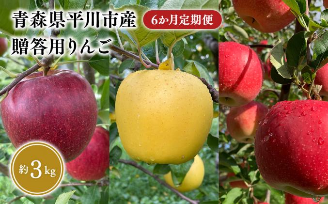 8月下旬〜発送 贈答用りんご 6か月定期便約3kg[なるみ農園・青森りんご・平川市産・定期便・数量限定]