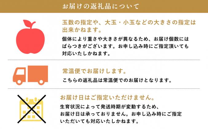 青森県平川市のふるさと納税 【令和7年産受付】家庭用 樹上完熟ぐんま名月約2㎏【青森県平川市産・青森りんご】