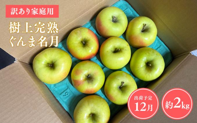 [令和7年産受付]家庭用 樹上完熟ぐんま名月約2kg[青森県平川市産・青森りんご]