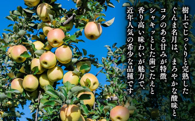 青森県平川市のふるさと納税 【令和7年産受付】家庭用 樹上完熟ぐんま名月約2㎏【青森県平川市産・青森りんご】