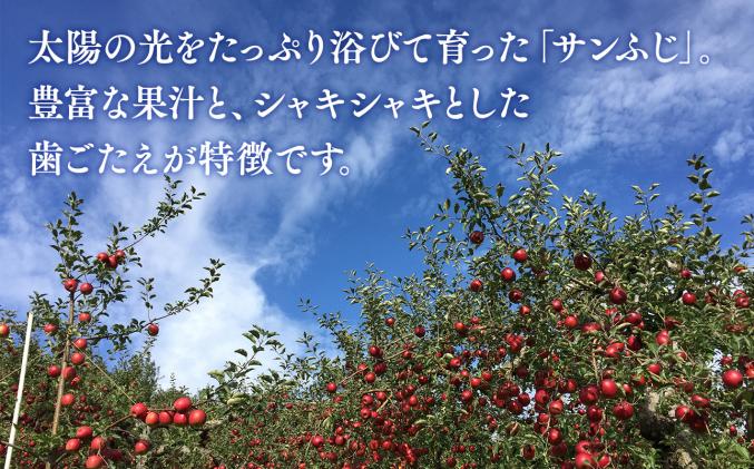 青森県平川市のふるさと納税 目玉品!!【令和8年産受付】家庭用 サンふじ/ぐんま名月 詰め合わせ約3㎏【青森県平川市産・青森りんご】