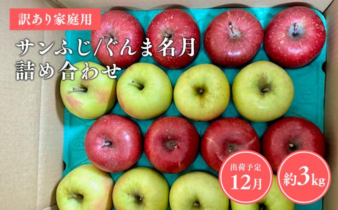 目玉品!![令和8年産受付]家庭用 サンふじ/ぐんま名月 詰め合わせ約3kg[青森県平川市産・青森りんご]