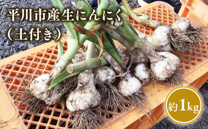先行受付】R8年産 有機栽培玉ねぎ 20kg | 北海道津別町 / 北海道津別町