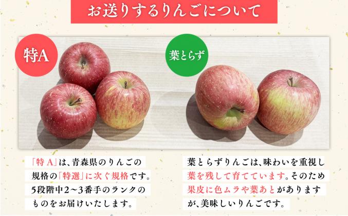青森県平川市のふるさと納税 1月 サンふじりんご「特A」約3kg 糖度13度以上 【森山商店・平川市・青森りんご・1月】