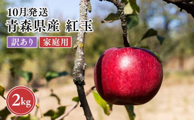 ≪先行予約≫ 有機JAS認証 りんご シナノゴールド 約3kg 【和楽堂