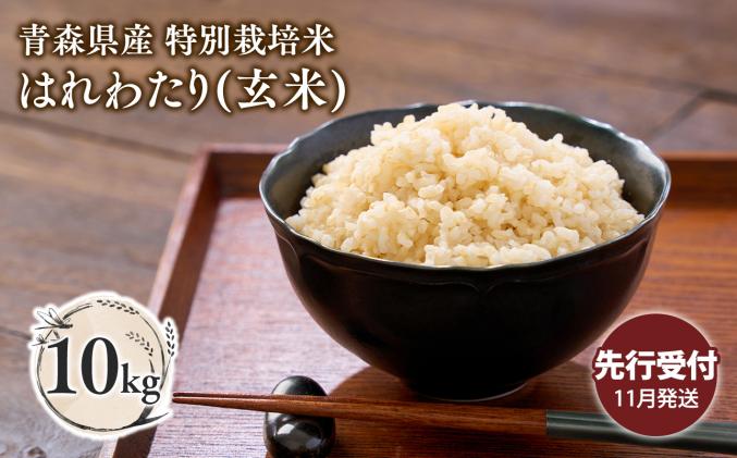 無洗米 コシヒカリ 6kg 米 白米 お米 魚沼産コシヒカリ 新潟米 新潟