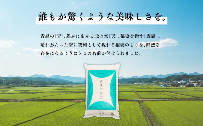 青森県平川市のふるさと納税 令和6年産 青天の霹靂5kg