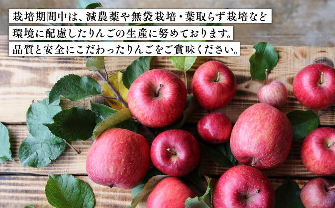青森県平川市のふるさと納税 2025年産11月～4月発送　【訳あり】家庭用葉とらずサンふじ5kg　【そと川りんご園・11月・12月・1月・2月・3月・4月・青森県産・平川市・りんご・葉とらずサンふじ・5kg・訳あり・家庭用】